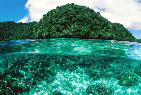 Hòn đảo hoang sơ nhất thế giới