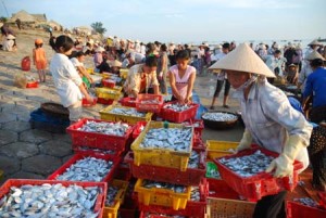 Hải sản phong phú và tươi ngon